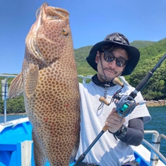 オオモンハタの釣果