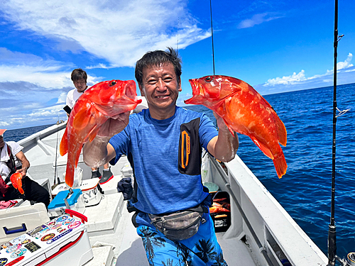 アカハタの釣果