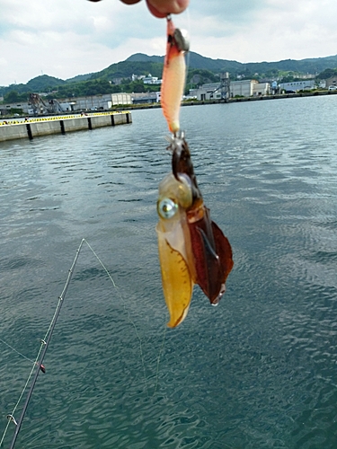 釣果