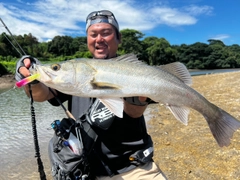 クサフグの釣果