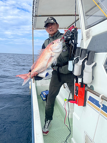 マダイの釣果