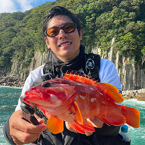 アカハタの釣果