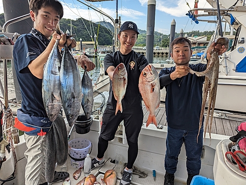 ハガツオの釣果