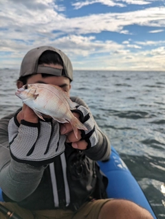 チャリコの釣果