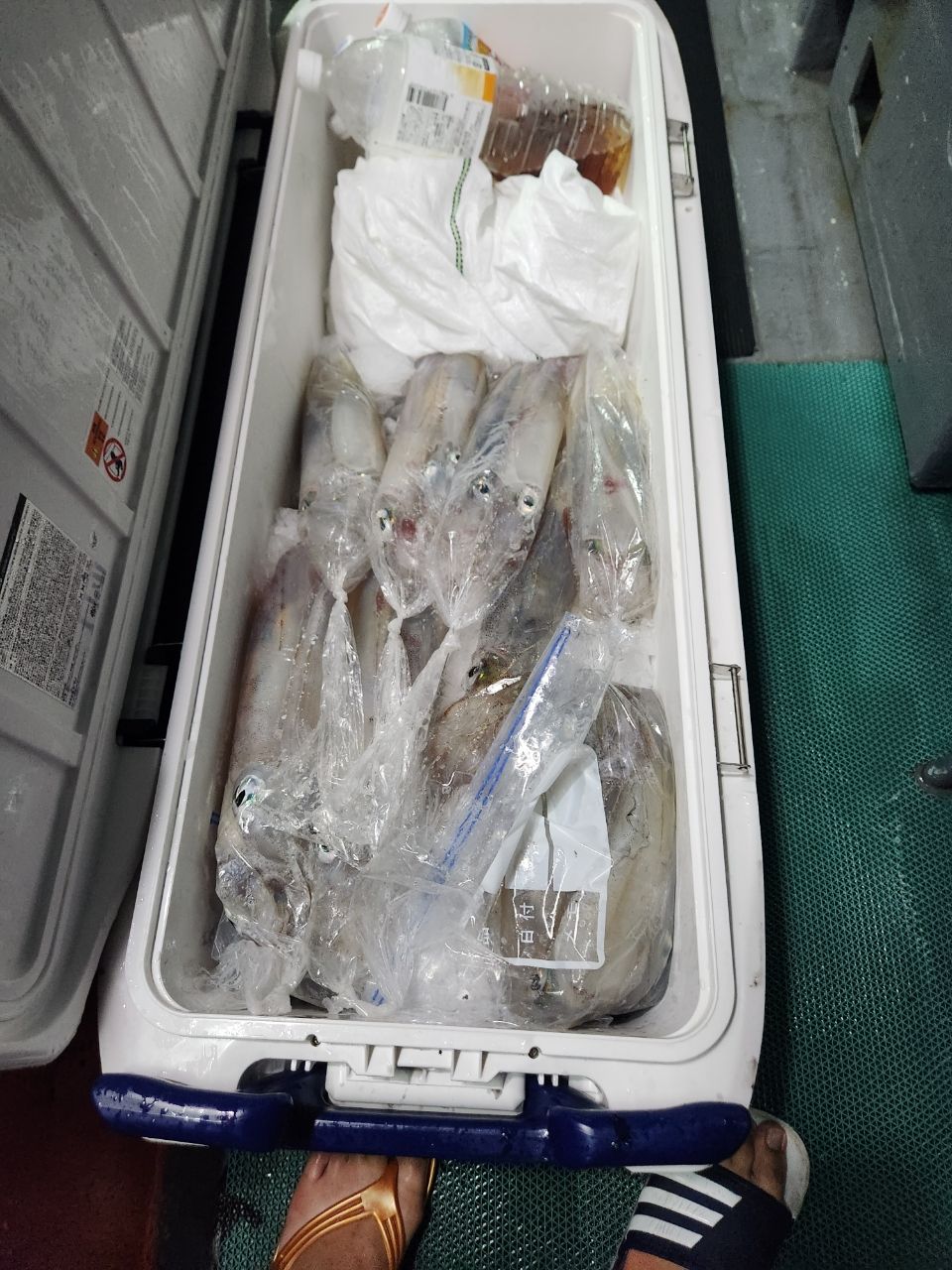 kei.turiさんの釣果 2枚目の画像