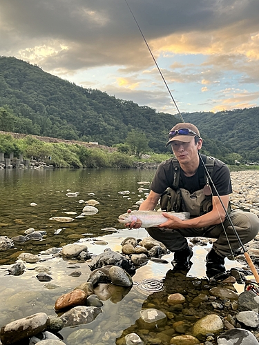 レインボートラウトの釣果