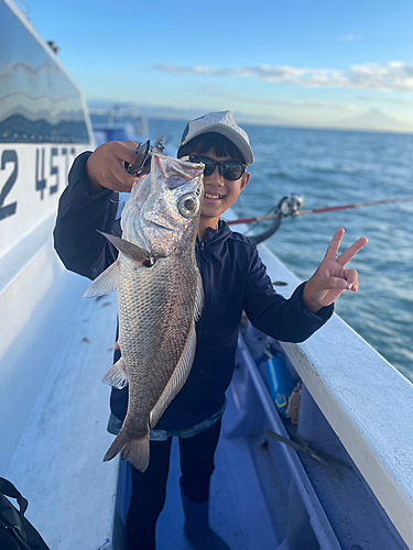 アカムツの釣果