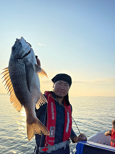 クロダイの釣果