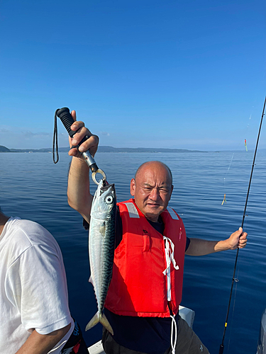 サバの釣果