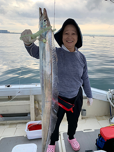 タチウオの釣果