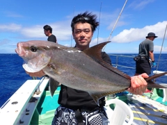 ヒレナガカンパチの釣果