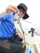 マサバの釣果