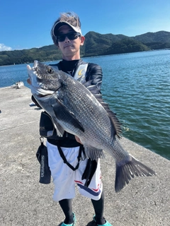 チヌの釣果