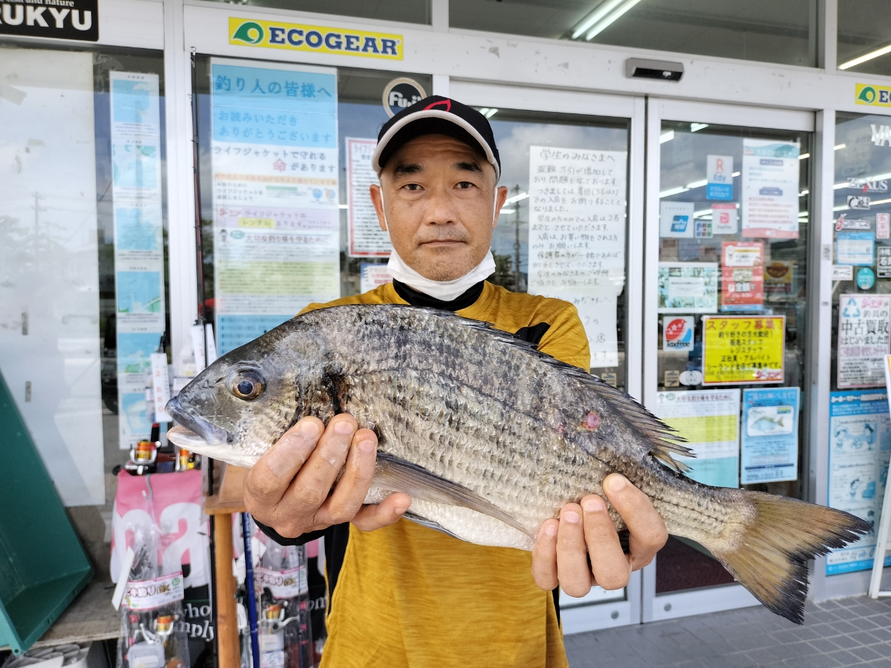 ミナミクロダイ