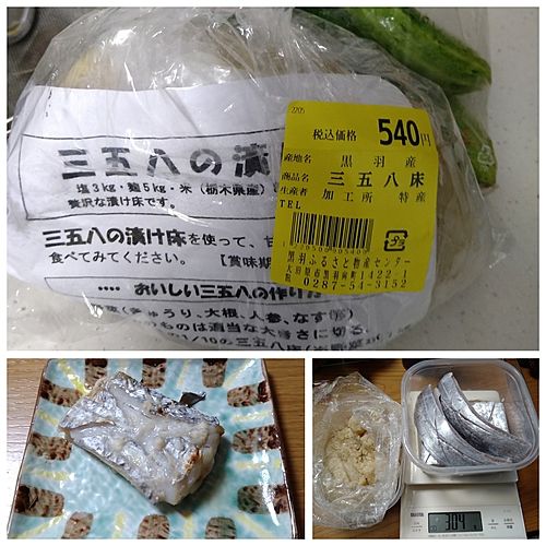 タチウオの釣果