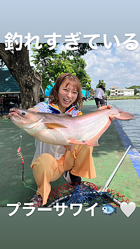 ナマズの釣果