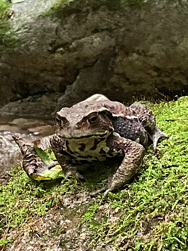 高瀬川