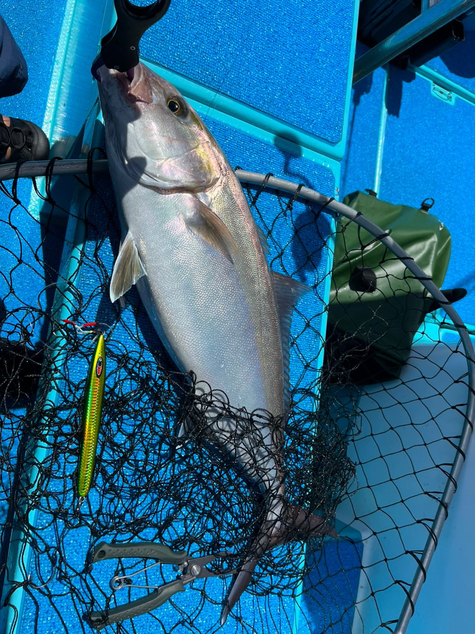 ちあきちさんの釣果 2枚目の画像