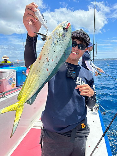 シイラの釣果