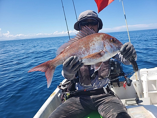 タイの釣果