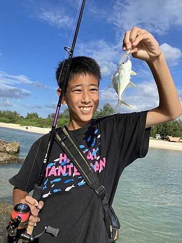 オニヒラアジの釣果