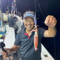 ケンサキイカの釣果