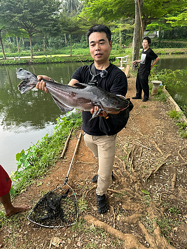 釣果