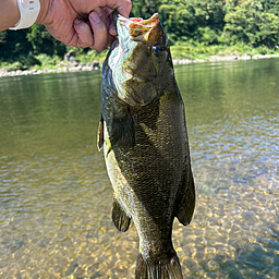 スモールマウスバス