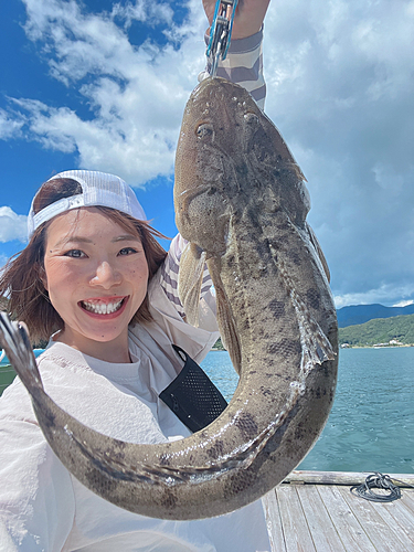 マゴチの釣果