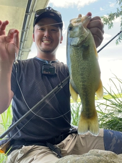 ブラックバスの釣果