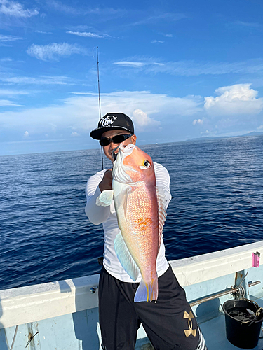 アマダイの釣果