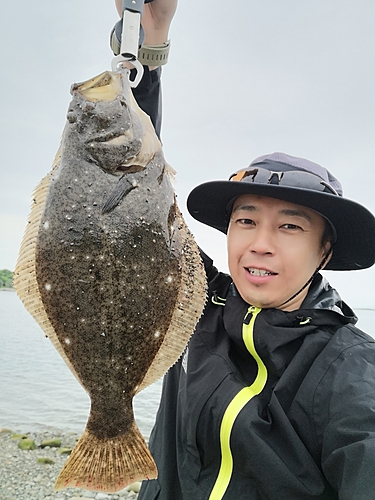 ヒラメの釣果