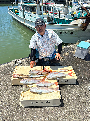 シロアマダイの釣果