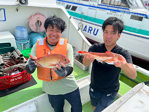 マダイの釣果