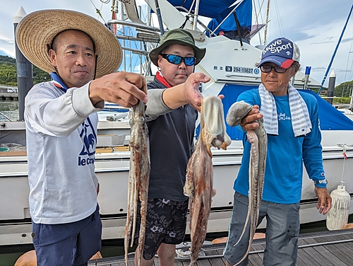 タコの釣果