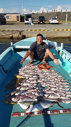 マダイの釣果