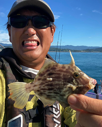 カワハギの釣果