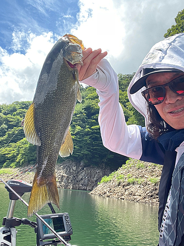 ブラックバスの釣果