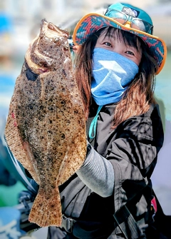 ヒラメの釣果