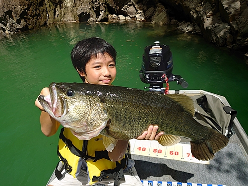 ブラックバスの釣果