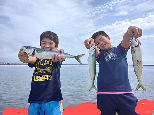 サバの釣果