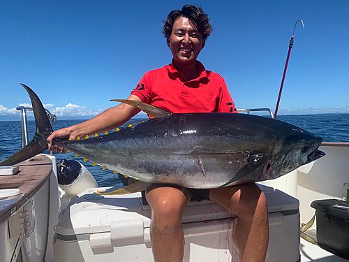 キハダマグロの釣果