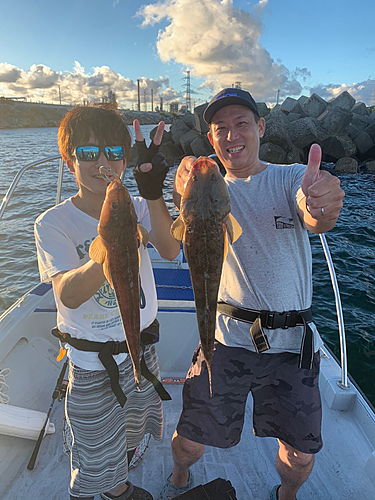 マゴチの釣果