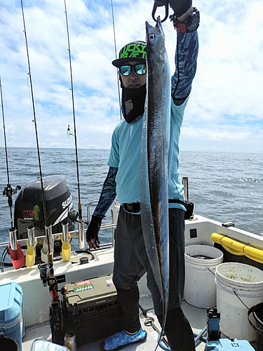 タチウオの釣果