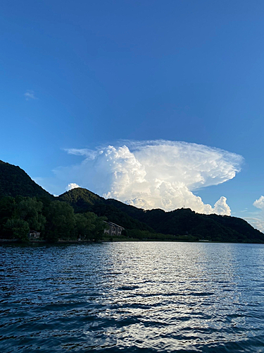 シロイカの釣果