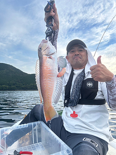 アカハタの釣果