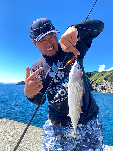 ソウダガツオの釣果