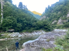 イワナの釣果