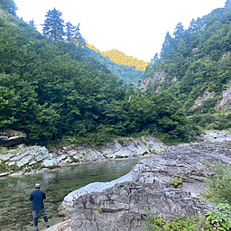 イワナ