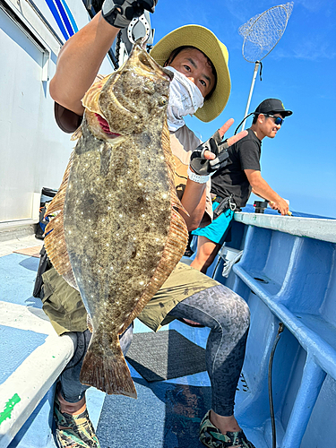 ヒラメの釣果